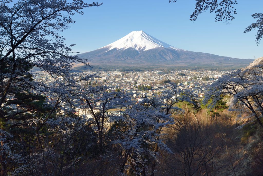 週末の富士山（新作1158）
