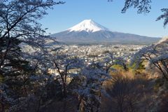 週末の富士山（新作1158）