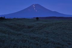 週末の富士山（新作943）