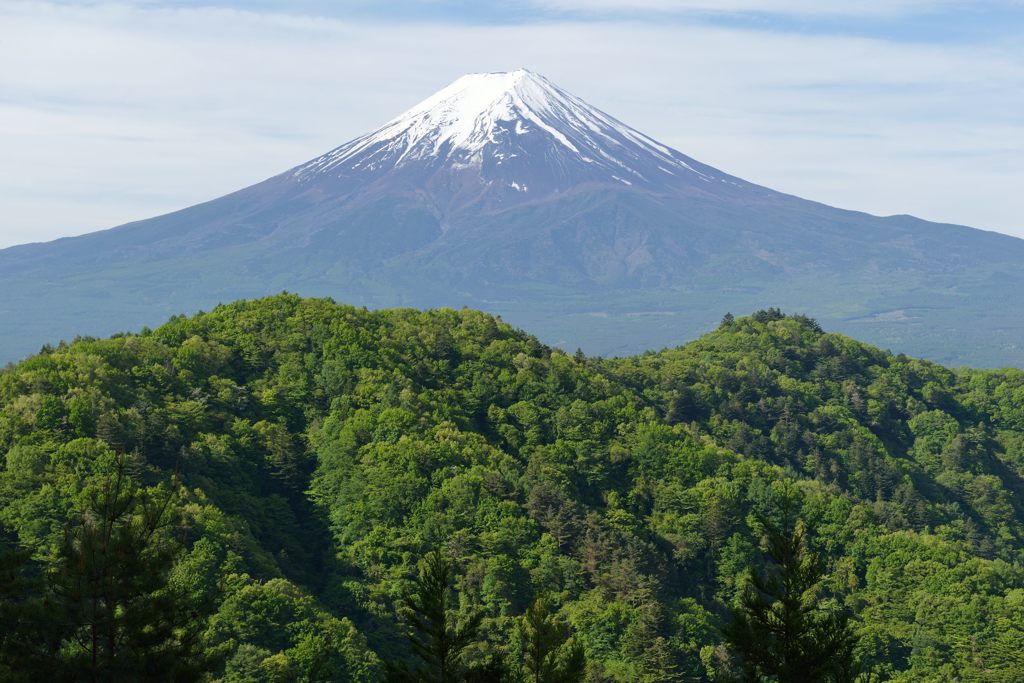 週末の富士山（新作886）
