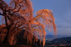 週末の富士山（新作1136）