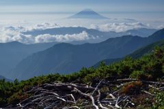 週末の富士山（新作969）