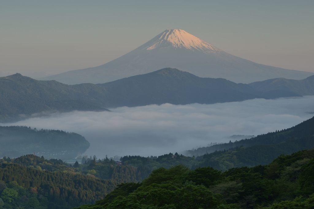 平日の富士山303
