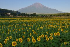 平日の富士山751