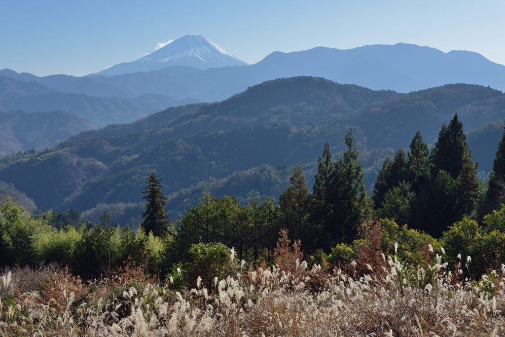 平日の富士山984