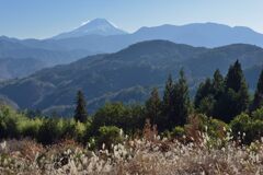 平日の富士山984