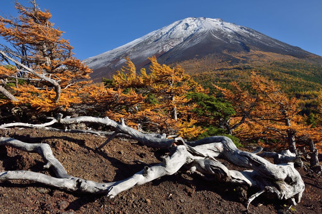 平日の富士山399