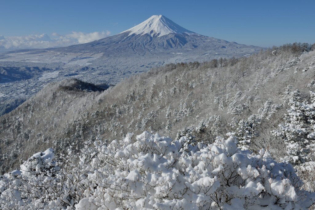 週末の富士山（新作1376）