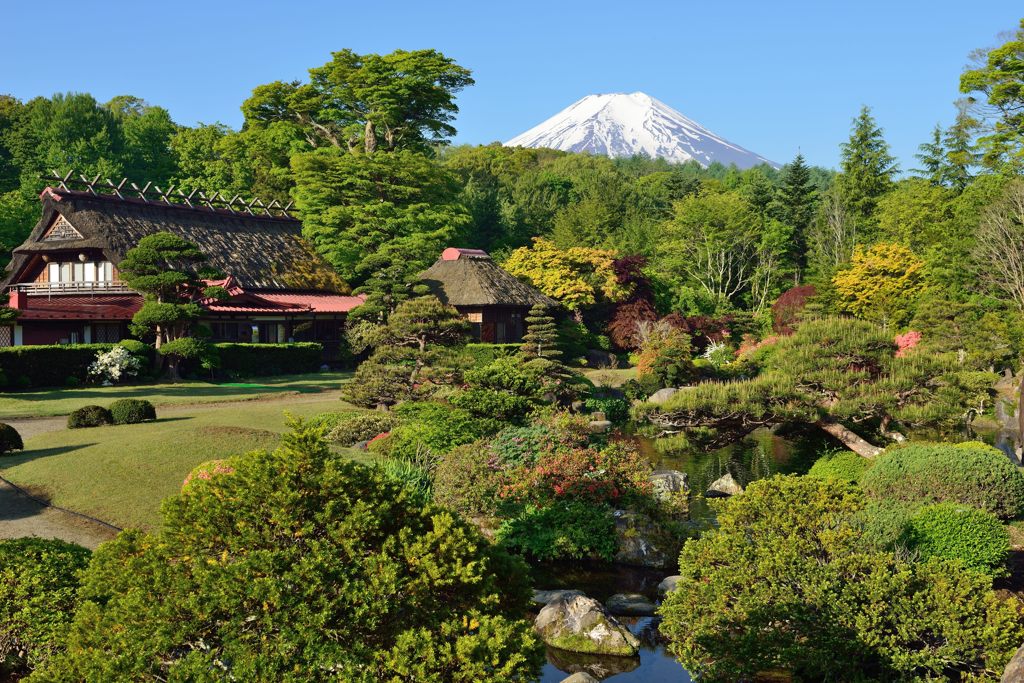 週末の富士山（新作658）