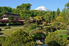 週末の富士山（新作658）