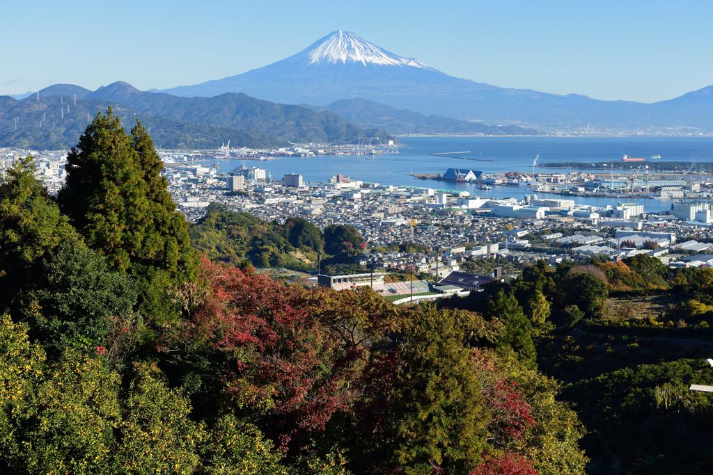 平日の富士山501