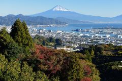 平日の富士山501
