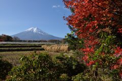 平日の富士山857
