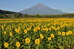 平日の富士山753