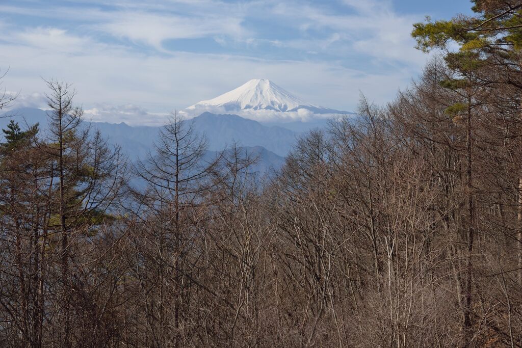 週末の富士山（新作1354）