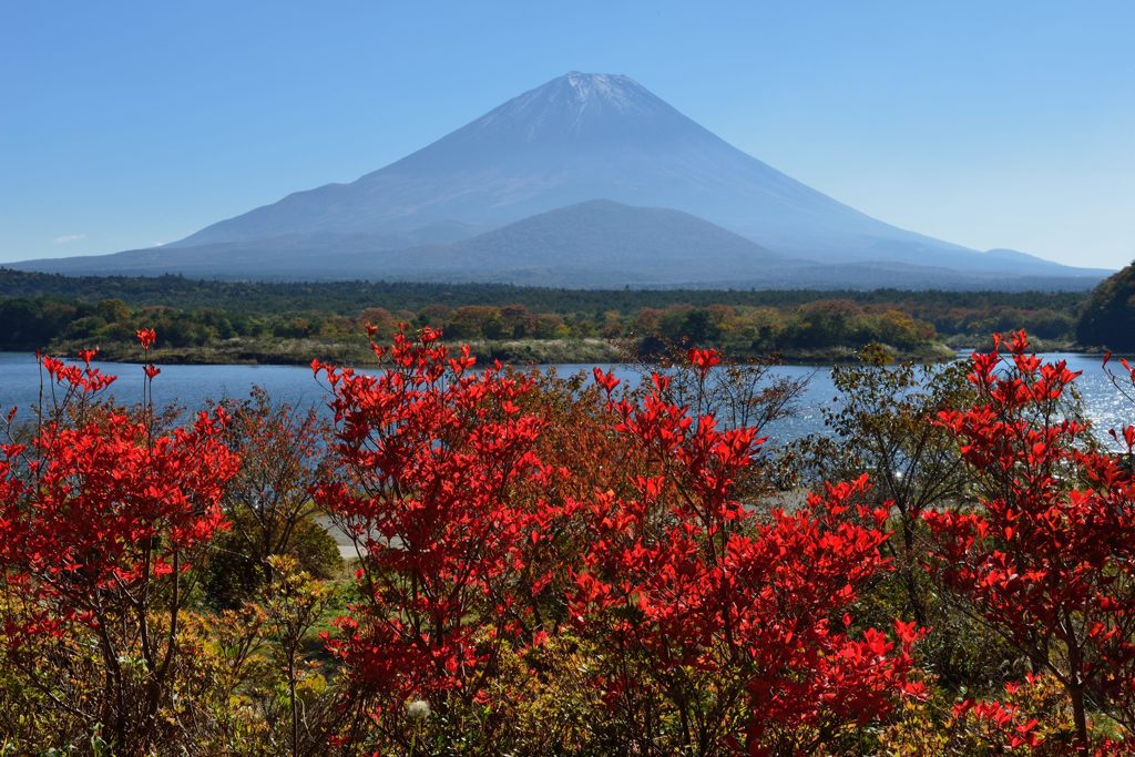 週末の富士山（新作486）