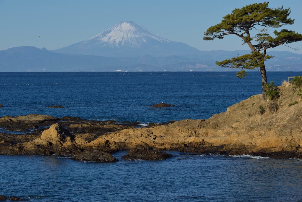平日の富士山586