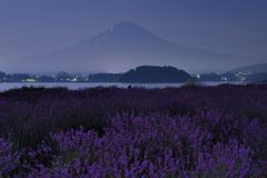 平日の富士山330