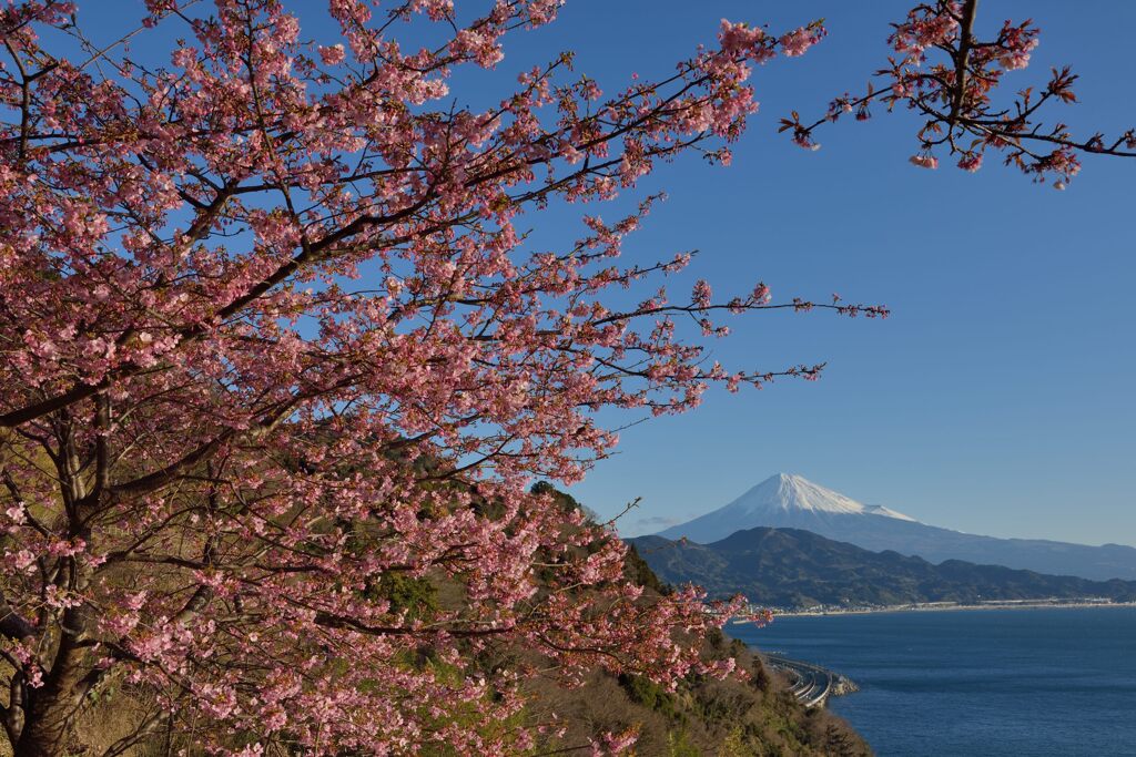 週末の富士山（新作1275）