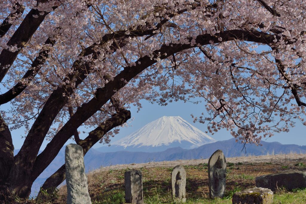 平日の富士山1077