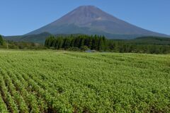 週末の富士山150