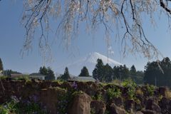 平日の富士山711