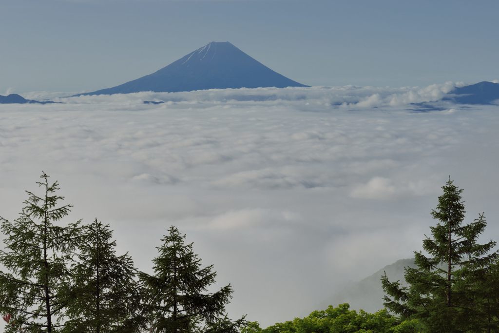 平日の富士山27