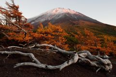 平日の富士山404