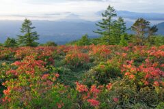 平日の富士山735
