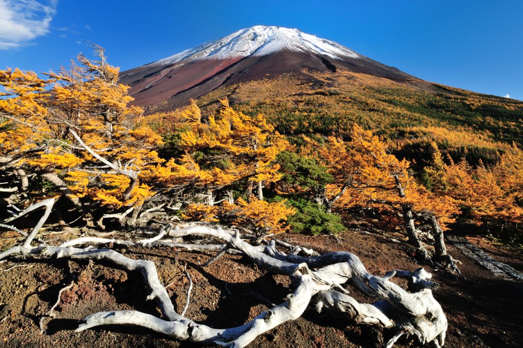 週末の富士山（新作56）