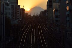 平日の富士山848