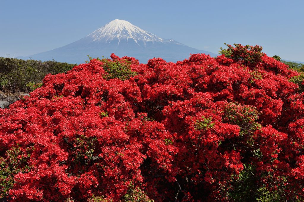 週末の富士山（新作621）