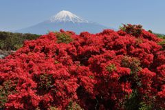週末の富士山（新作621）