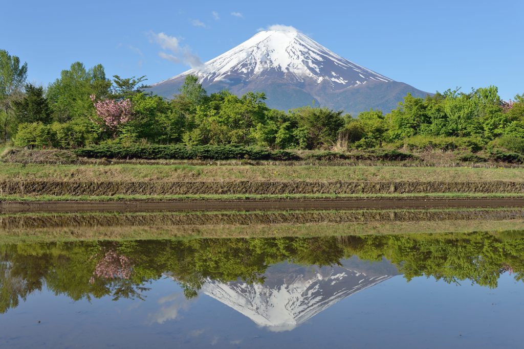 平日の富士山289