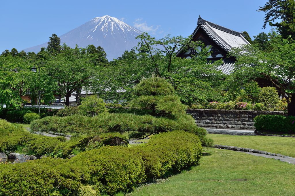 週末の富士山（新作873）
