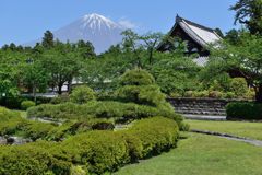 週末の富士山（新作873）