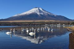 平日の富士山519