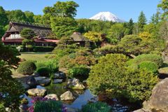 週末の富士山（新作662）