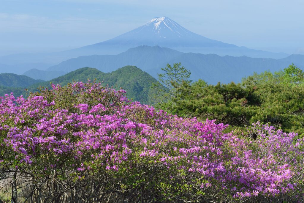 平日の富士山733