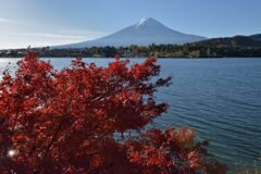 平日の富士山907