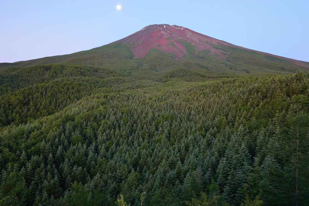 週末の富士山（新作923）