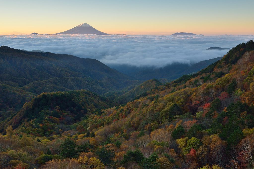 週末の富士山（新作49）