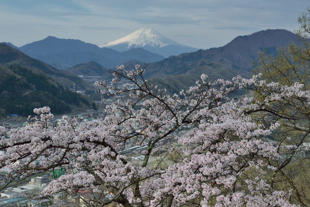 平日の富士山269