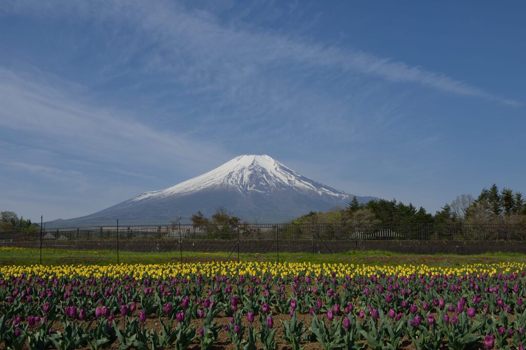 週末の富士山29