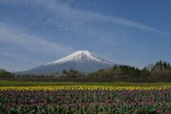 週末の富士山29