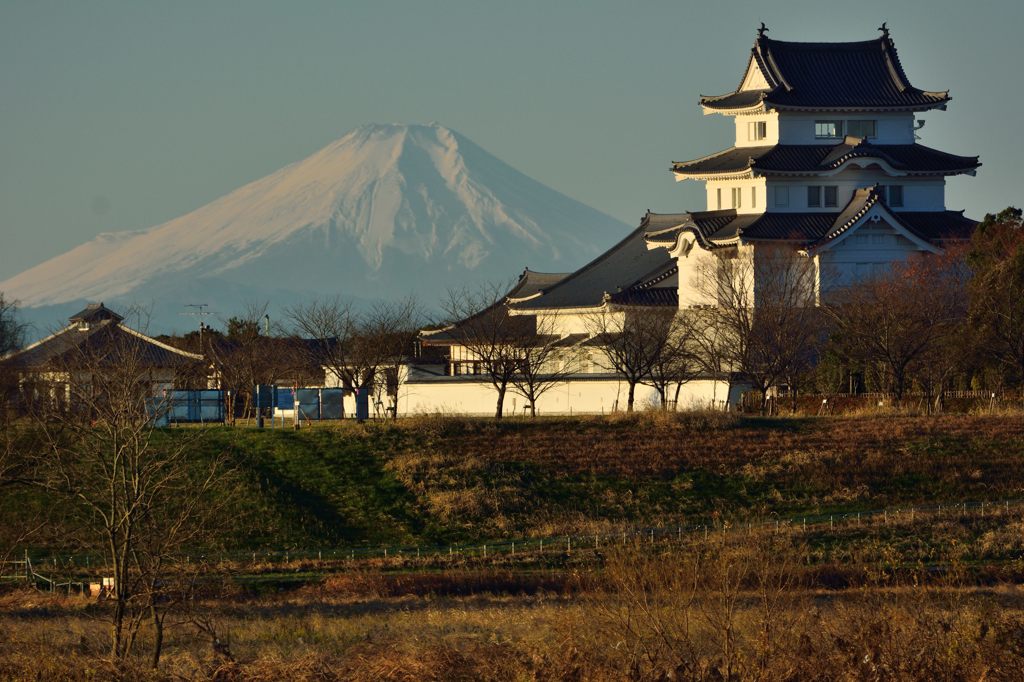 週末の富士山（新作700）