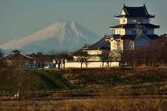 週末の富士山（新作700）