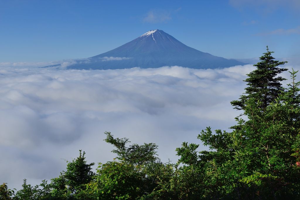 週末の富士山（新作920）