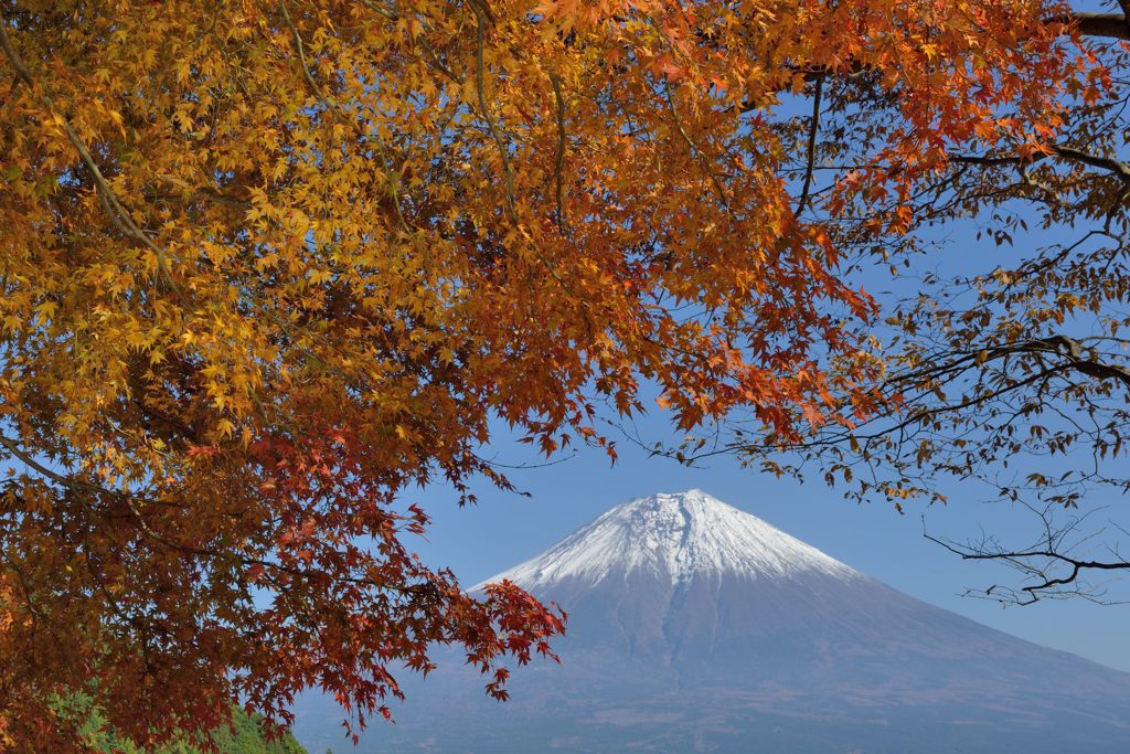 週末の富士山（新作492）