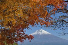 週末の富士山（新作492）